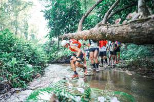 BIB: 
                            <button type="button" onclick="openModal(25452458)" class="btn btn-primary btn-sm float-right btn-popup" data-toggle="modal" data-target=".modal-high-quality">
                        <i class="fas fa-shopping-cart"></i> Add to Cart
                    </button>
                                            <button type="button" onclick="isThisMe(25452458, true)" class="btn btn-success btn-sm float-right btn-popup btn-isme hidden" data-toggle="tooltip" data-placement="bottom" title="นี่คือรูปของคุณใช่ไหม คลิกที่นี่เพื่อเอาเข้าอัลบั้ม">
                        <i class="fas fa-plus"></i> Add to album
                    </button>
                    <button type="button" onclick="isThisMe(25452458, false)" class="btn btn-warning btn-sm float-right btn-popup btn-isnotme hidden">
                        <i class="fas fa-ban"></i> Remove from album
                    </button>